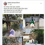 Hello @uttarakhandcops This is Radha Semwal Dhoni who is running "Mazar Free Uttarakhand" campaign herself checks registry and threatens Muslim vegetable vendors by checking their Aadhaar card.   Facebook Link