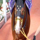 ジャックドールおめでとう 武豊とジャックドールのコンビでG1取ったのほんとに感動すぎる！！