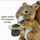 m copio de todo twt EXPLICA TU TWITTER   NOMBRE: soy yo + maxident y indigo LABSHSK USER: mi nombre + yo + hada HEADER: lo hice yo misma kavask BIO: mi descripci&oacute;n lavaks <33 ICON: ns es bonito y m lo encontr&eacute; en pinterest lsvaks