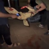 Rather we Live or we Die, We will fight till our Death. #ImranKhan #AsimMunir #Peshawar #Lahore #useVpn  #cantt #نکلو_خان_کی_زندگی_بچاوٴ #پاکستان_بند_کر_دو