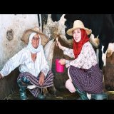 تحدي 6 : جربت أربع مهن مختلفة - فلاحة - باحثة - مراقبة ومقاولة