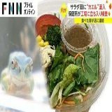 \u25c6サラダ カエル混入 サラダ麺に&ldquo;カエル&rdquo;混入 保健所が工場に立ち入り検査