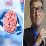 USDA Approves Bill Gates Lab-Grown Meat For Sale Despite Causing Turbo Cancers In Human Subjects: