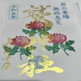 鷲神社さんにお詣り  重陽の節句の御朱印をいただきました  境内で育てられている綿で 菊の着綿神事をしました そんな神事がある事知らんかった〜 ありがたいです  帰りにヨシカミのハヤシライス 美味しかった