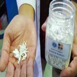 Pabrik Katalis Merah Putih Resmi Lakukan Penjualan Produk Perdananya  #beritasawit #Sawit #palmoil #infosawitcom #infosawit #SawitRakyat #sobatani #SahabatKebun #indonesia #sustainablepalmoil #ITB #Katalismerahputih #biohidrokarbon