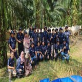 Stakeholder dan Sejumlah Dekan Peternakan Lakukan Field Visit Sawit Sapi di PT SISKA  #beritasawit #Sawit #palmoil #infosawitcom #infosawit #SawitRakyat #SahabatKebun #indonesia  #sustainablepalmoil #Siskaforum #PTSISKA #SawitSapi #Kementan #IPB #Cen