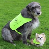 @ireland on #nationaalpetday meet some of our wonderful dogs C&eacute;il&iacute; and Pixie and Hero and Cindy!