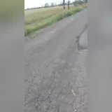 ВСУ в освобождённом Высокополье Херсонская область .