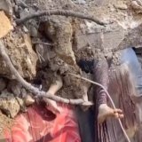 ‏"فَوَرَبِّكَ لَنَسۡـَٔلَنَّهُمۡ أَجۡمَعِینَ ۝٩٢ عَمَّا كَانُوا۟ یَعۡمَلُونَ"\ud83d\udc94 أياكم أن تنسوا ‎#غزه_تباد_وتحرق