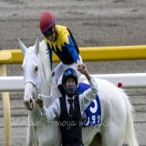 Sodashi with jockey Hayato Yoshida won Victoria Mile. #ソダシ #吉田隼人  #ヴィクトリアマイル