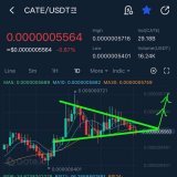 #catecoin breakout soon   Mimic of shib and doge 100x rally&rsquo;s   #shib #doge #eth #bitcoin #Cryptocurency #bullish #100xgem #1000xgem #memecoin #floki #elon #binance