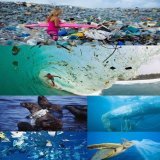 #plasticpollution #pollution #spermWhales #humpbackWhales #Dolphins  A man made problem that's killing our oceans and marine life.