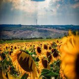 #Рубіжне , #Сєвєродонецьк , #Попасна , #Лисичанськ courageously hold on and endure. Luhansk region is Ukraine.   #UkraineWillWin  #UkraineWillResist  #StopRussia  #ArmUkraineNow  #StandWithUkraine