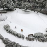 昼の時点でこれですよ 雨に変わってくれたらまだいいんだけど。 明日の朝などの凍結が心配です。  まだ午後から降るみたいね。 みなさまお気をつけください。  #大雪警報  #関東の雪