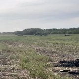 A battery of BM-21 "Grad" MLRS and a M777 155mm howitzer laying down supporting fire for the Ukrainian offensive, Kherson.