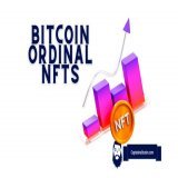What happened in the last 24 hours in the Bitcoin NFTs ecosystem,  A thread