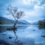 I say pah! to #BlueMonday !! This is my version of blue Monday! Let&rsquo;s share our favourite blue photographs to bring a smile!! These are some of mine!   #photography #photo #smile #blue #photographyastherapy