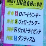 #細江純子 の #日経新春杯 買い目 細江純子 \u25ceロバートソンキー  こいちゃん\u25ceプリマヴィスタ てつじ\u25ceプラダリア お兄ちゃんと浅越ゴエ\u25ceヴェローナシチー 月亭八光\u25ceヤマニンゼスト 林と岩部\u25ceロバートソンキー 下田ヴェルトライゼンデ