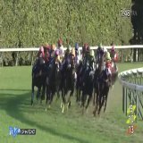 【2022年 ジャパンカップ 優勝馬】 #ヴェラアズール 父：エイシンフラッシュ 母：ヴェラブランカ 22戦6勝 主な勝鞍：2022年京都大賞典 ≪音声協力：ラジオNIKKEI≫ #JRA #JRAFUN #ジャパンカップ #Ｒ・ムーア