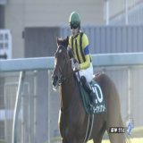 #ソーヴァリアント が、チャレンジカップ(GIII) を優勝！  今年で73回目を迎えた阪神伝統の一戦を制す！見事な連覇達成おめでとう！  #JRA #JRAFUN #チャレンジカップ #ルメール