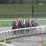 【2022年 チャンピオンズカップ 優勝馬】 #ジュンライトボルト 父：キングカメハメハ　母：スペシャルグルーヴ 25戦7勝 主な勝鞍：2022年シリウスステークス ≪音声協力：ラジオNIKKEI≫ #JRA #JRAFUN #チャンピオンズカップ  #石川裕紀人