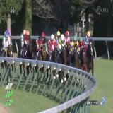 【2022年 阪神ジュベナイルフィリーズ 優勝馬】 #リバティアイランド 父：ドゥラメンテ　母：ヤンキーローズ 3戦2勝 ≪音声協力：ラジオNIKKEI≫ #JRA #JRAFUN #阪神ジュベナイルフィリーズ #川田将雅
