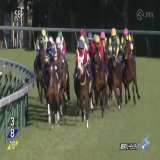 【2022年 朝日杯フューチュリティステークス 優勝馬】 #ドルチェモア 父：ルーラーシップ 母：アユサン 3戦3勝 主な勝鞍：2022年サウジアラビアロイヤルカップ ≪音声協力：ラジオNIKKEI≫ #JRA #JRAFUN #朝日杯フューチュリティステークス #坂井瑠星