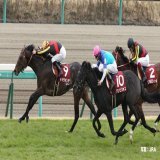 今週末は、中山記念(GII)！  2016年の優勝馬は、#ドゥラメンテ。現役最後の勝利がこの中山記念だったよ。昨年(2022年)は #タイトルホルダー をはじめ、子供たちが「GI 6勝」と大活躍！きっと今は天国で大喜びしているね。  #JRA #JRAFUN #中山記念 #Ｍ・デムーロ
