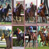 今夜は、#ドバイワールドカップデー！  日本時間では、23:25に #ドバイゴールデンシャヒーン(G1)、24:10に #ドバイターフ(G1)、25:00に #ドバイシーマクラシック(G1)、25:35に #ドバイワールドカップ(G1)などがそれぞれ行われる予定だよ。JRA勢多数出走予定！みんな応援よろしくね！  #JRA #JRAFUN