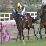 #サウンドビバーチェ が、阪神牝馬ステークス(GII)を優勝！  いざ、春の女王決定戦へ！本番が楽しみな勝利となったね。重賞初制覇おめでとう！  #JRA #JRAFUN #阪神牝馬ステークス #浜中俊