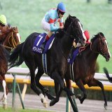秋の中距離王決定戦、天皇賞秋は3歳馬イクイノックスがゴール寸前で差し切って初のGIタイトルを獲得！　2着には大逃げから粘り込んだ7番人気パンサラッサ、3着に4番人気ダノンベルーガが入りました！