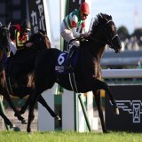世界の強豪が激突、ジャパンカップはヴェラアズールが馬群を突き抜けて快勝、初のGIタイトルを獲得！　2着に1番人気シャフリヤール、3着に4番人気ヴェルトライゼンデが入りました！　なお、勝ち馬を勝利に導いたR.ムーア騎手は2013年以来、2度目のジャパンC制覇達成です