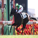 #中山6R の新馬戦を制したのは、 #ペリファーニア 。兄は #有馬記念 に出走するエフフォーリア！兄と同じく横山武史騎手に導かれ、見事に勝利を飾りました。
