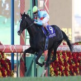 グランプリ、有馬記念はイクイノックスが圧巻の末脚を繰り出し優勝！　秋の天皇賞に続きGIレース2勝目を挙げました！　2着に入ったボルドグフーシュもこれがラスト有馬となる福永祐一騎手を背に豪快なまくりで魅せてくれました