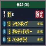 【 #東京11R #根岸S 結果】 1着 13 レモンポップ 2着 6 ギルデッドミラー 3着 14 バトルクライ 戸崎圭太騎手騎乗の1番人気レモンポップが1着！