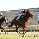 【#ダイヤモンドステークス】東京競馬場で行われたダイヤモンドステークス（GIII）は西村淳也騎手騎乗の2番人気ミクソロジーがレコード勝ち！ 重賞初制覇を果たしました！ #ダイヤモンドS
