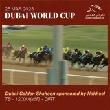 G1ドバイゴールデンシャヒーンは最内を立ち回ったシベリウスが連覇を狙うスイッツァランドの追い上げを際どくしのぐ。R.ムーア騎手は本日2勝目。日本勢はリメイクの5着が最高。2年連続2着のレッドルゼルは6着まで  #DWC23  @RacingDubai