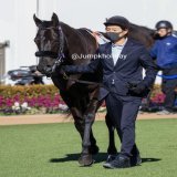 中山6Rのメイクデビュー中山にはエフフォーリアの半妹ペリファーニアが出走。その出自から1倍代の一番人気。 兄とは違い青鹿毛の艶やかな子です。顔も整ってますね。少しだけですが気の強そうな所も見えました。 #ペリファーニア #中山競馬場