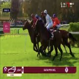 ニエル賞スタート！