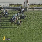 キラーアビリティ差し切り勝ち。  #中日新聞杯