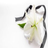 お笑いコンビ「しめじ」寺本大樹さん、交通事故で死去　まだ23歳   お笑いコンビ・しめじの寺本大樹さんが交通事故のため死去したと、所属事務所の人力舎が１７日に公表した。...]