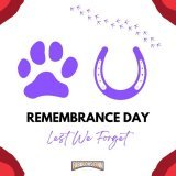 &lsquo;They also served&rsquo;  #remembranceday&nbsp; #armisticeday&nbsp; #FabulousFinn #animalsatwar #theyservedtoo