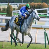 ヤクシマ　C.ルメール騎手
