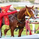 ジャックドールの優勝レイ脱がされてる時のキョトン顔かわいい