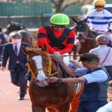大阪杯 ジャックドール　武豊騎手  遂に掴んだG1タイトル！！ おめでとうございます！！！！！！