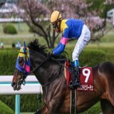 阪神牝馬ステークス サウンドビバーチェ　浜中俊騎手