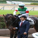 本馬場入場のときにルメールJにポンポンされていたスキルヴィング。  安らかに