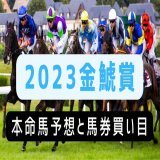 #金鯱賞 予想記事アップしました！ 馬場状態的にも問題なし！！ 穴馬一頭絡めて高配当狙いです＼(^o^)／ 連勝記録伸ばします(^o^) #競馬 #予想 #金鯱賞予想 #枠順 #中京競馬場 #フィリーズレビュー