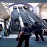 everyone coming to twitter to confirm that instagram is down #instagramdown