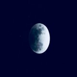 Japan's lower house chief #HiroyukiHosoda admitted on Friday that he had attended a total of 8 events related to the #UnificationChurch and sent messages 3 times on similar occasions. #UnificationChurch #Moonies #LDP #Japan #自民党 #細田博之 #衆院議長 #統一教会 #日本